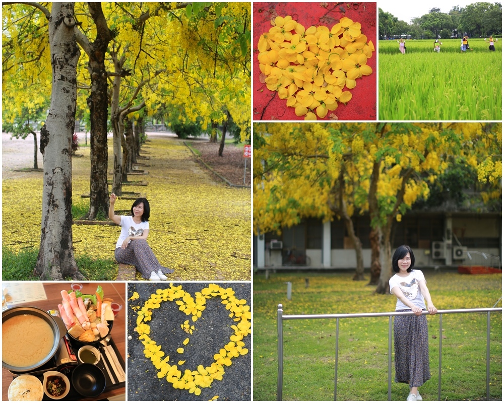 ,屏東,內埔,阿勃勒,六堆客家文化園區,黃金雨,麟洛運動公園,茉阿那咖啡館,榮民之家,車站,