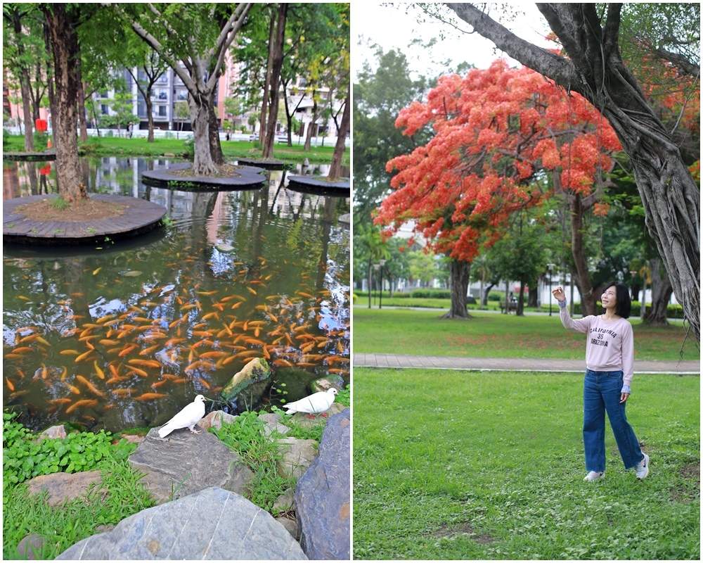 高雄,大東濕地公園,打卡,鳳山區,鳳凰木,森林,捷運,高雄景點