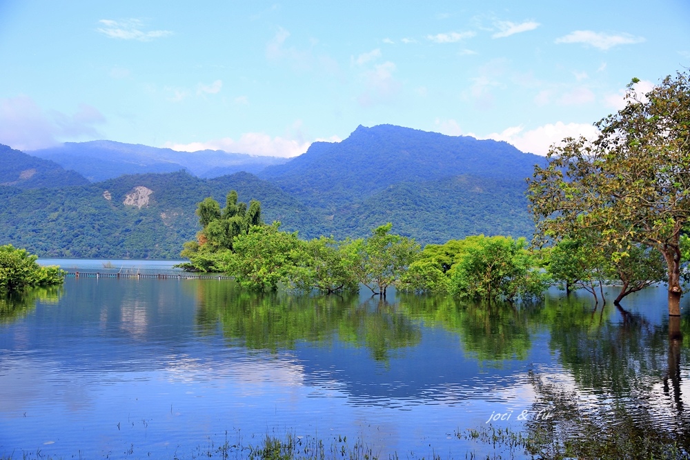 水漾森林,大埔湖濱公園,曾文水庫,露營區,螢火蟲步道,忘憂森林,西拉雅公仔,嘉義,大埔,湖濱公園,季節限定,秘境,曾文水