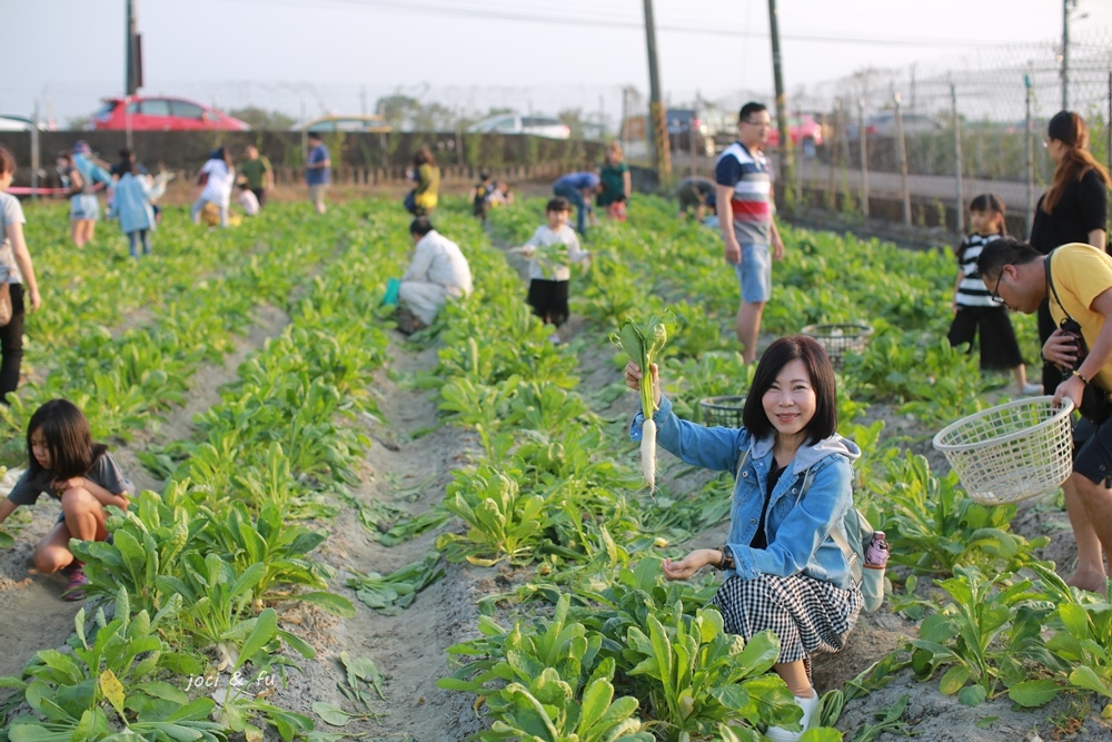 高雄,美濃,親子旅遊,拔蘿蔔,白玉蘿蔔,2019美濃白玉蘿蔔季,高雄景點