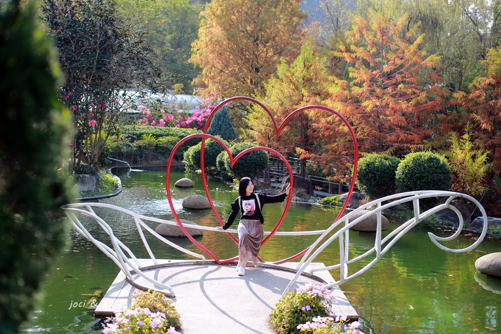 楓樺台一渡假村,白草莓,落羽松,水上屋,雙心愛之船,生態休閒農場,南投,台一生態休閒農場,埔里,浪漫