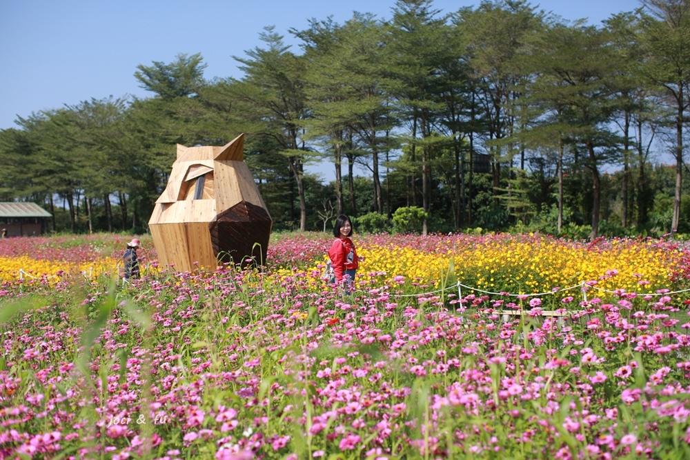 屏東農業博覽會,迎春花海,彩繪稻田,屏東熱帶農業示範園區,夢幻彩瓜廊道,迷霧蘭境,魔法鳳梨主題樂園,屏東,屏東熱帶農業博覽會,長治鄉