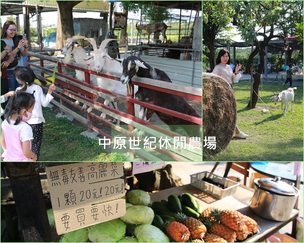 中原世紀休閒農場,羊乳製品,DIY體驗,餵食動物,青木瓜酵素,紅妃木瓜,無毒農產品,屏東,萬丹鄉,休閒農場,親子景