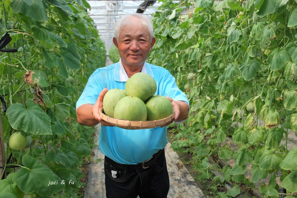 豐碩果園甜瓜2.jpg