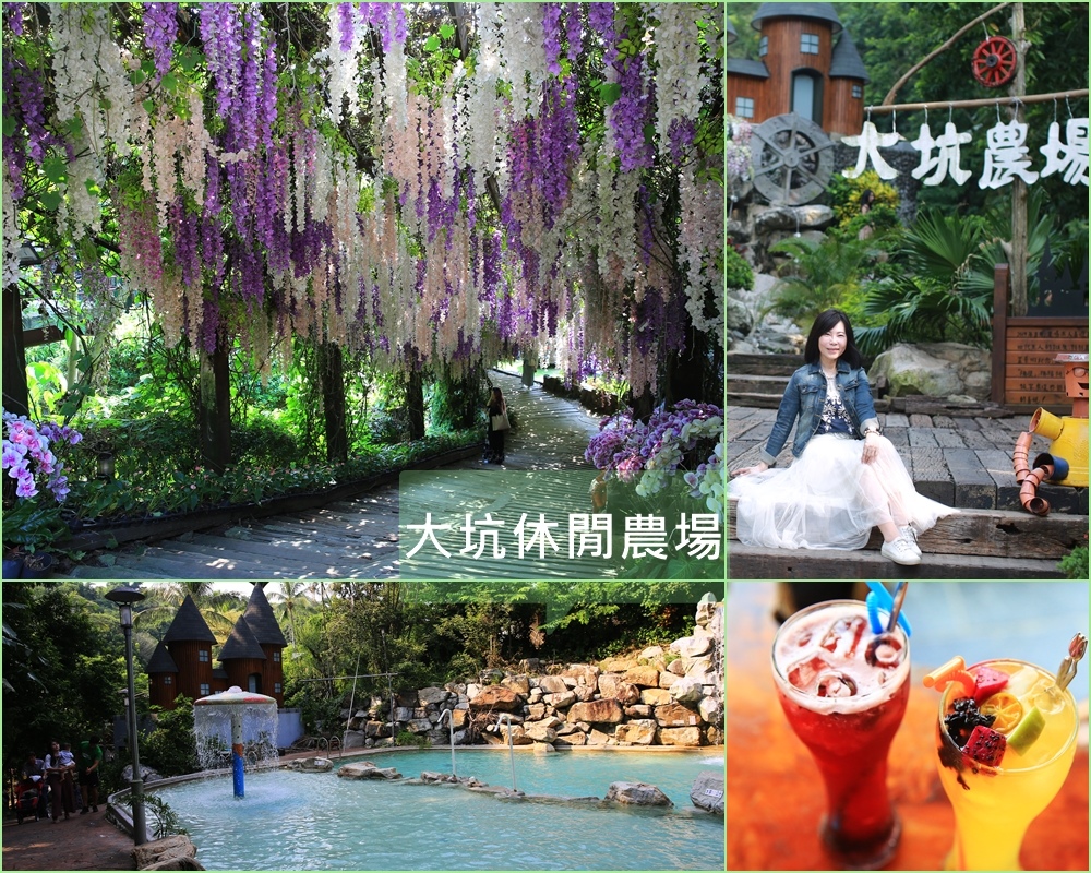 大坑休閒農場,紫藤隧道,童話城堡,月亮鞦韆,山泉SPA,天竺鼠與小白兔,田媽媽餐廳,台南,新化區,休閒農場,親子景點,紫藤花隧道,打卡