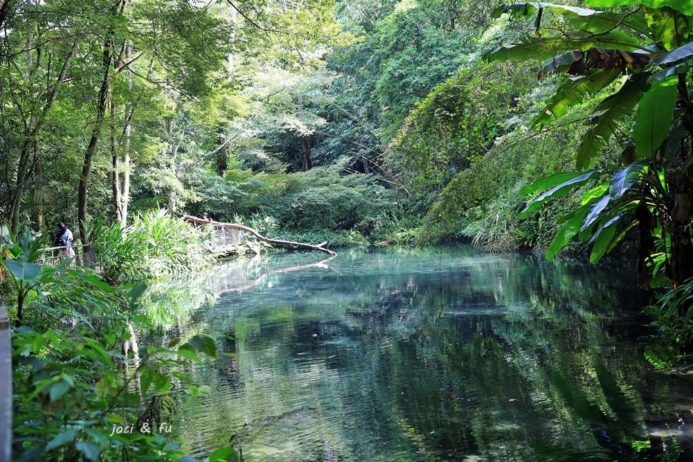 南庄秘境四十二份湧泉自然生態步道晶瑩剔透如寶石般的湧泉池 在陽光照耀下閃閃發亮 苗栗私房景點 愛作夢的貓