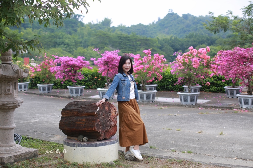 高雄 秋賞九重葛 天台山日月湖畔 奼紫嫣紅在空靈綠意中 輕旅行 高雄 秋賞九重葛 天台山日月湖畔 奼紫嫣紅在空靈綠意中 輕旅行