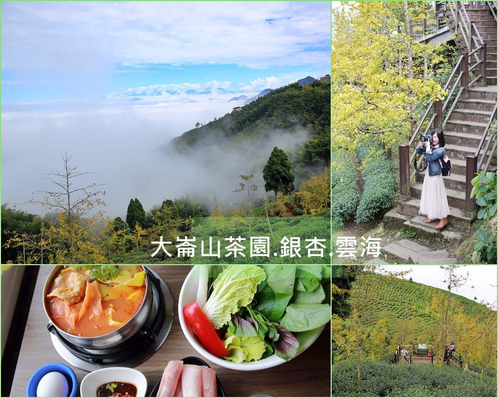大崙山茶園,武岫農圃,銀杏森林,南投,雲海,銀杏步道,杉公路,鹿谷鄉,步道