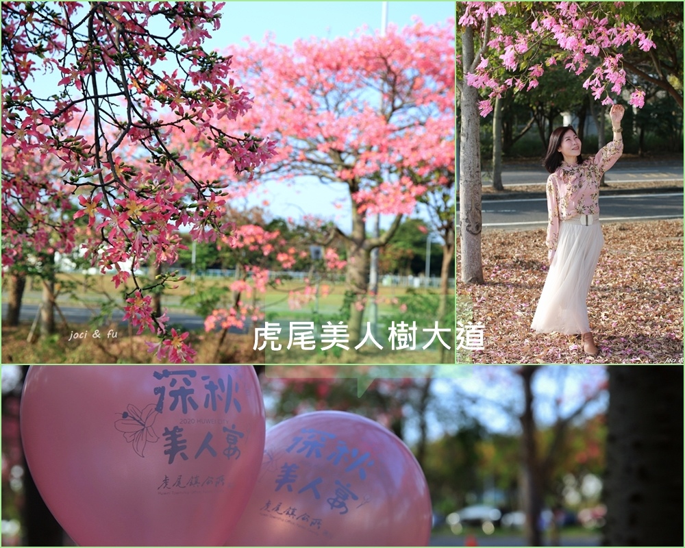 美人樹大道,美人樹,台版櫻花大道,虎尾農博公園,深秋美人宴,建成路,清雲路,雲林,虎尾鎮,花海,打卡,IG,鐵路,公園