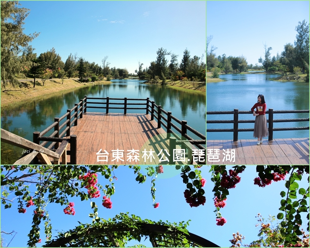 台東森林公園,琵琶湖,卑南溪,朱槿花園,中華大橋,樹屋涼亭,觀景台,台東,公園,打卡