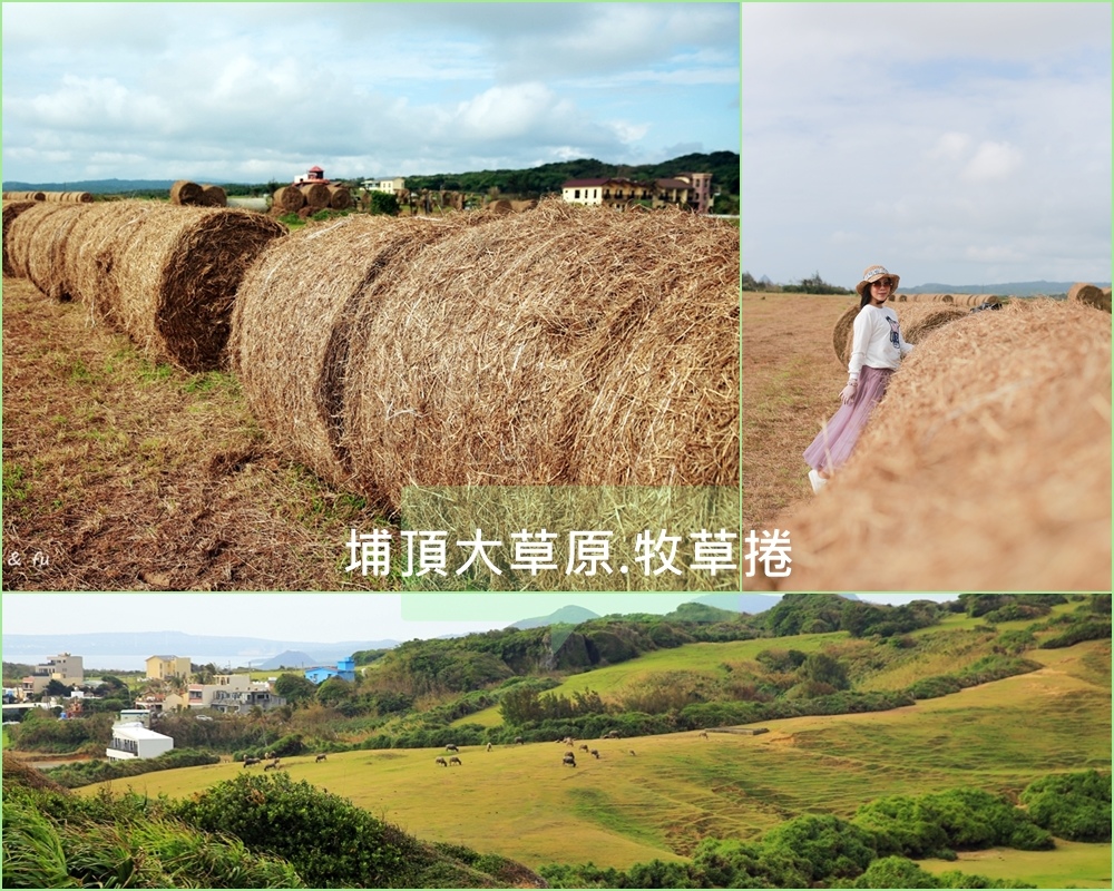 埔頂大草原,牧草捲,墾丁,鵝鑾鼻,龍磐餐飲,屏東,恆春鎮,埔頂大草原 ,稻草捲,草原,海洋