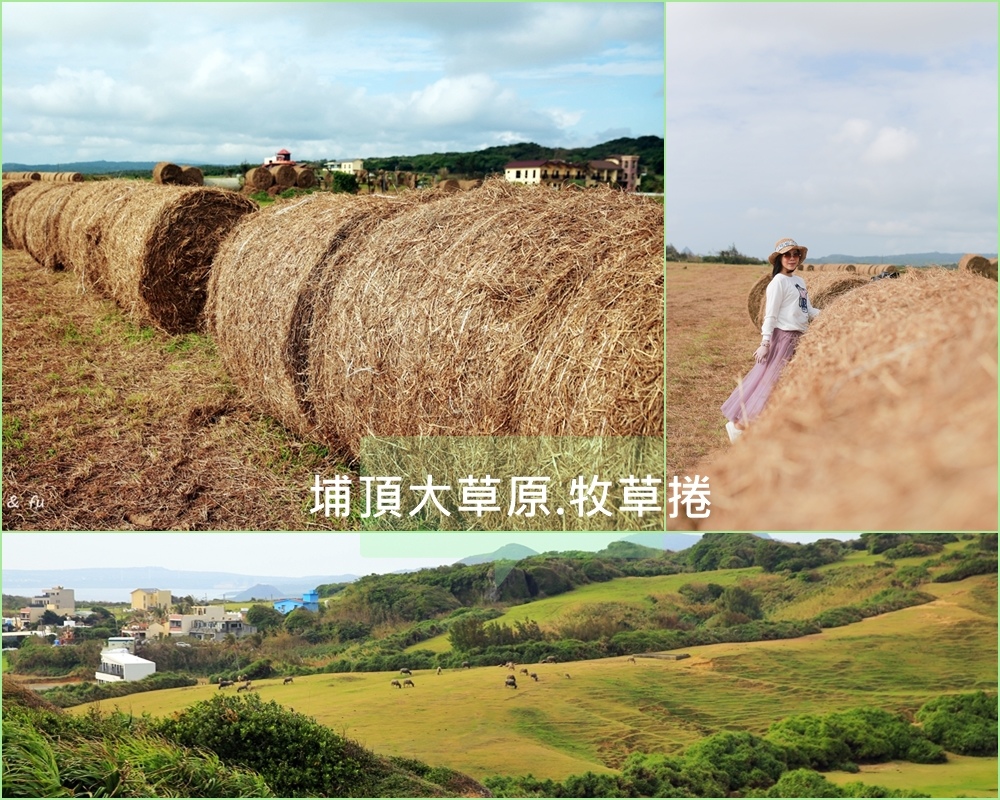 屏東,恆春鎮,墾丁,埔頂大草原 ,稻草捲,草原,海洋,沙灘,屏東景點