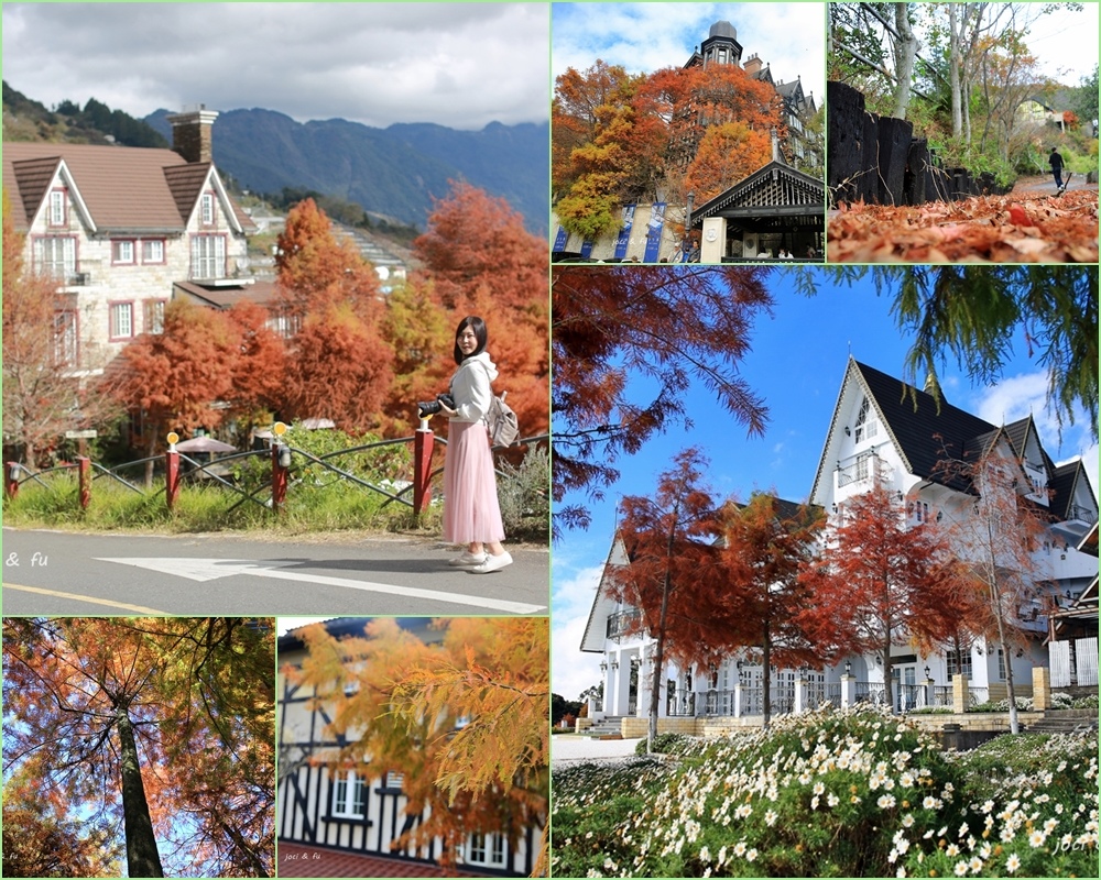 清境落羽松,老英格蘭莊園,凡賽斯莊園,見晴山莊,魯媽媽擺夷料理,藝家園鷹堡,普羅旺斯莊園,南投,仁愛鄉,清境,落羽松