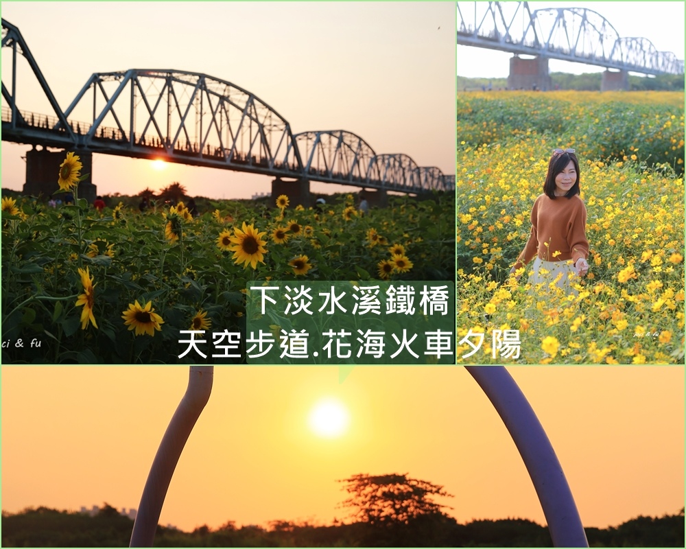 下淡水溪舊鐵橋,大樹舊鐵橋,國定古蹟,濕地教育園區,波斯菊花海,向日葵花海,鐵道文化公園,屏東,下淡水溪鐵橋  ,花海