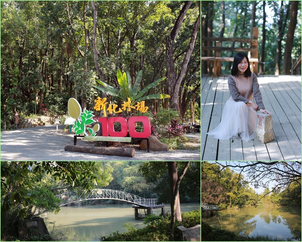 新化林場,桃花心木林,森林浴步道,中興大學,森林系景點,日治時期,新南瀛勝景,台南,新化區