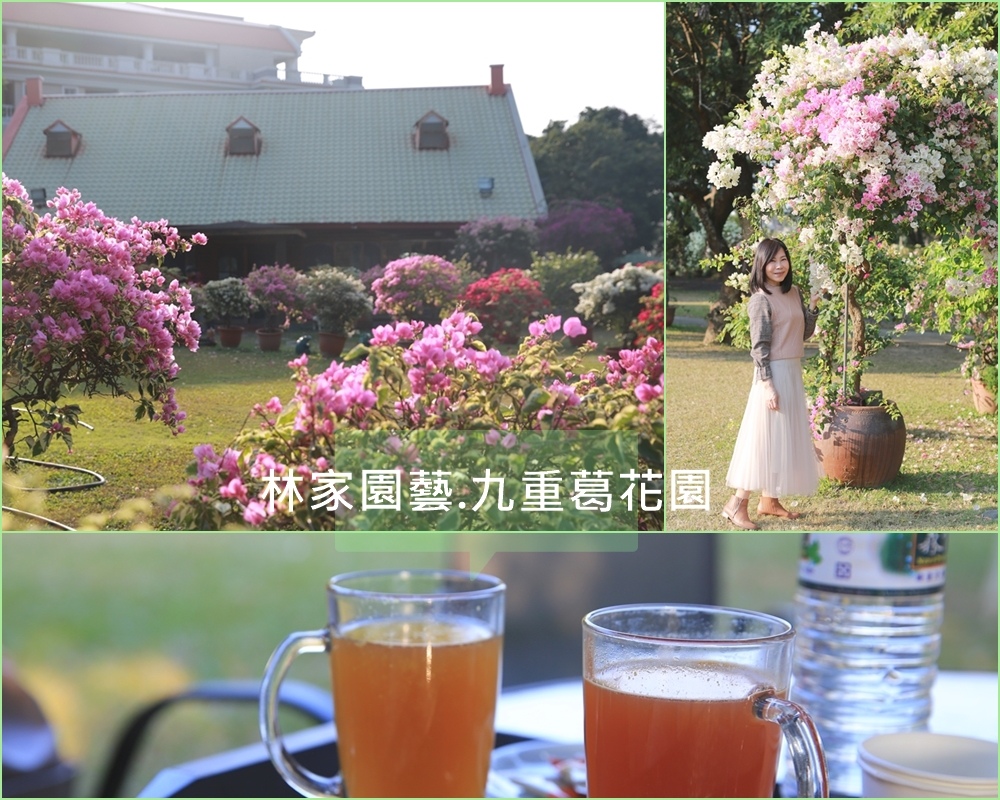 新化林家園藝,九重葛,新化老街,荔枝園,歐式花園,戶外婚禮,童話鄉村風木屋,台南,新化區,打卡,景觀餐廳
