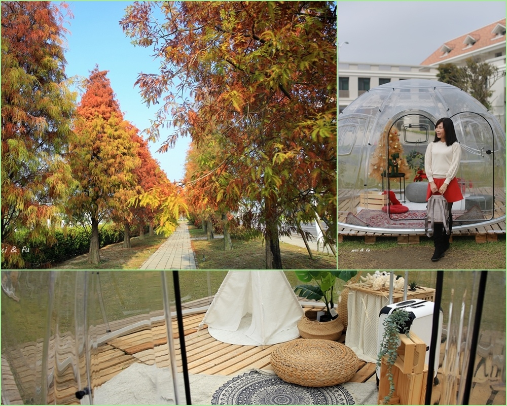萬國通路,創意觀光工廠,落羽松步道,透明星空泡泡屋,北歐風,異國聖誕氛圍,台南,歸仁區,觀光工廠,打卡,落羽松