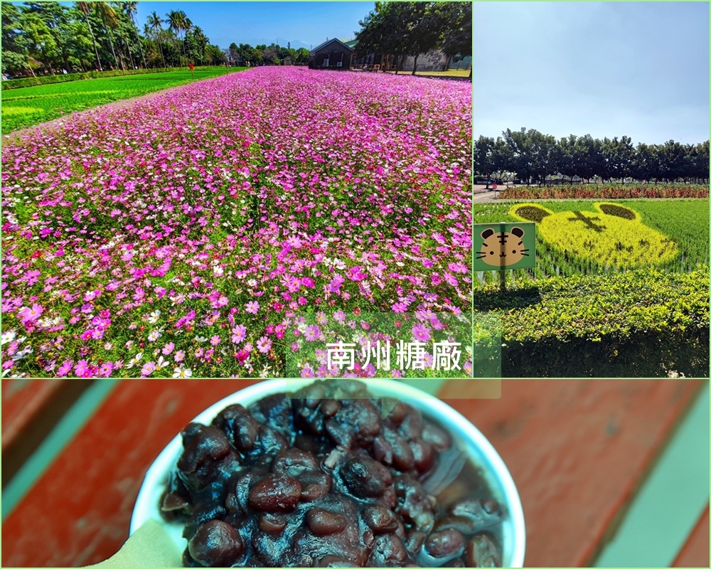 南州糖廠,波斯菊花海,12生肖彩繪稻田,小葉欖仁綠色隧道,鯉魚池,紅豆酵母冰,哈薩克咖啡屋,屏東,南州鄉,花海,觀光工廠,車站