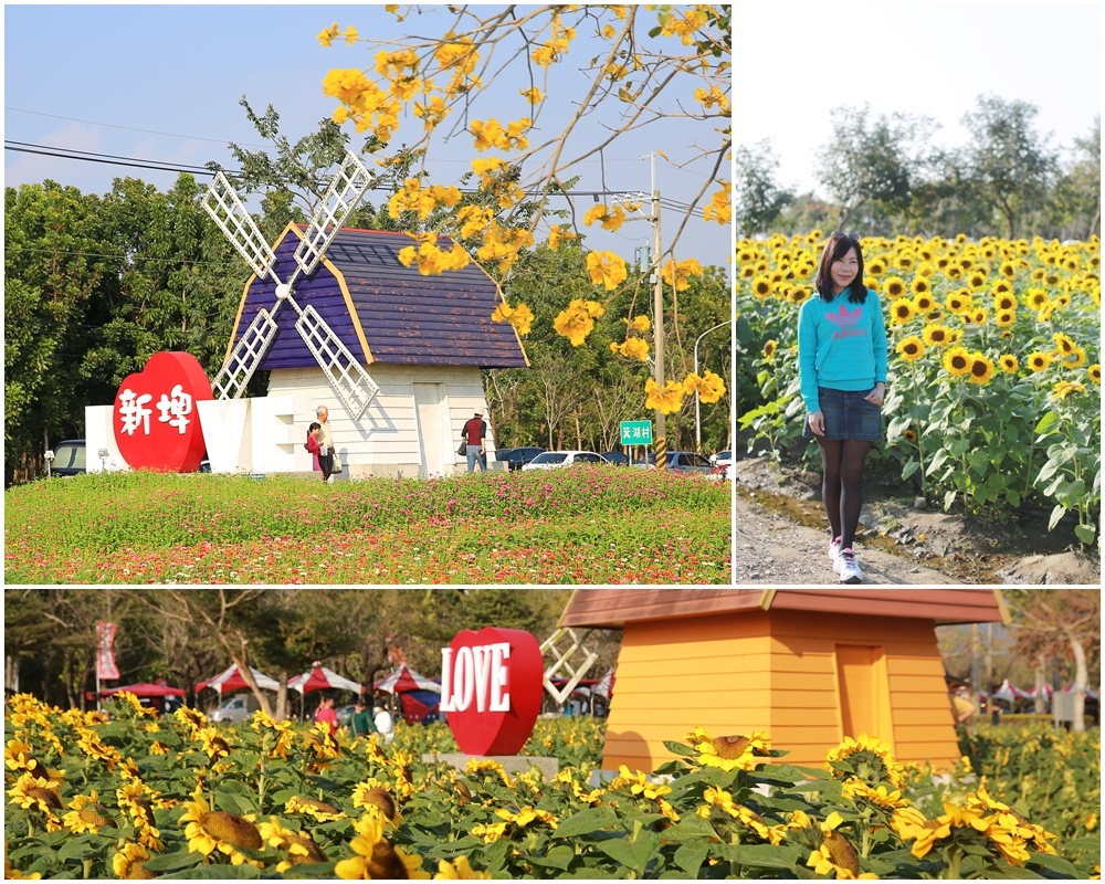 新埤綜合休閒公園,LOVE風車,繽紛花海,生態池區,兒童遊戲區,百日草,波斯菊,屏東,新埤鄉,新埤綜合休閒公園 ,打卡,花海,向日