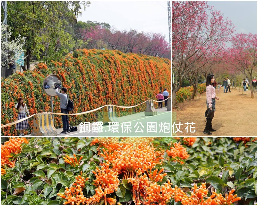 ,苗栗,銅鑼鄉,銅鑼環保公園,炮仗花,步道,瀑布,市集,