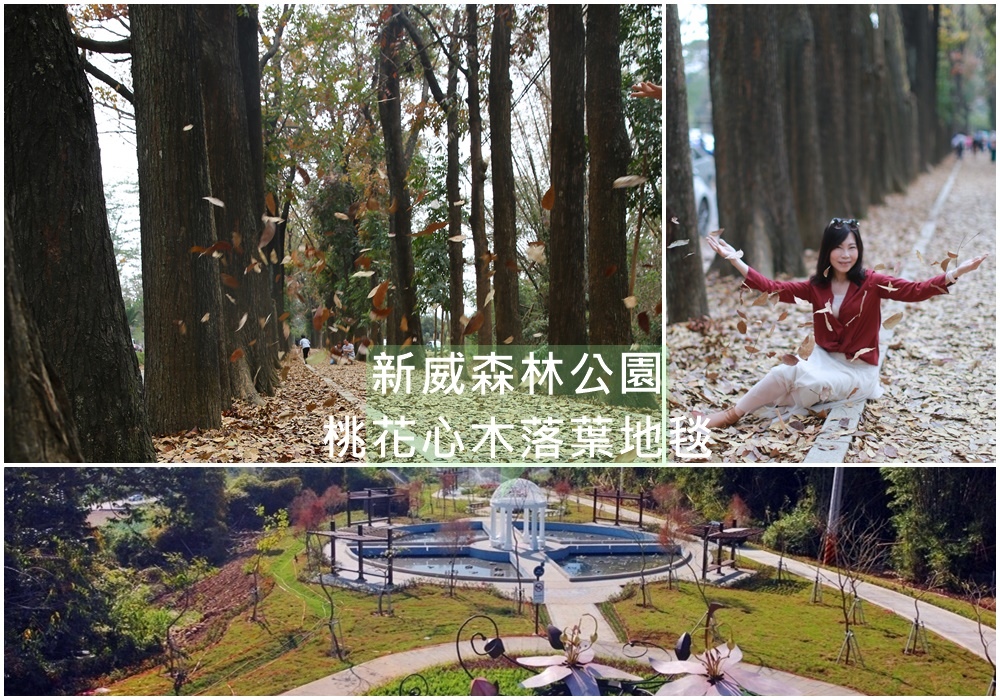 新威森林公園,桃花心木步道,新威秘密花園,茂林國家風景區,觀景台,相思樹,排灣族神話,高雄,六龜,桃花心木,新威遊客中
