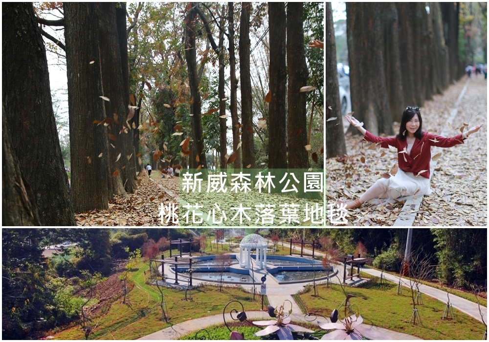 高雄,六龜,新威森林公園,桃花心木,桃花心木步道,新威秘密花園,新威遊客中心,高雄景點