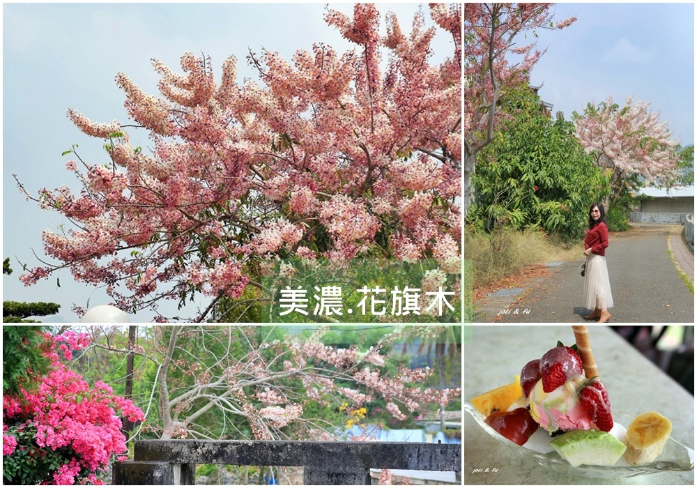 花旗木,美濃,高雄,福安國小,自強橋,哈客廚房,新威森林公園,共通橋,竹仔門水圳,懶人