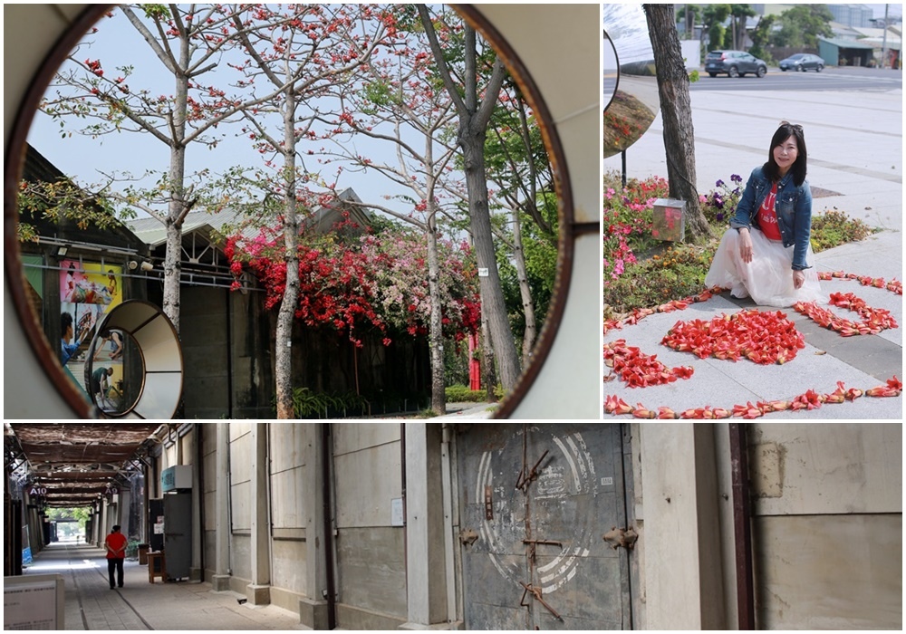 蕭壠文化園區,佳里糖廠,日據時期,陣頭文化,西拉雅平埔族,台南藝陣館,台灣國際蘭展,台南,佳里區,蕭壠文化園區  ,九重葛,打卡,木棉花,苦楝