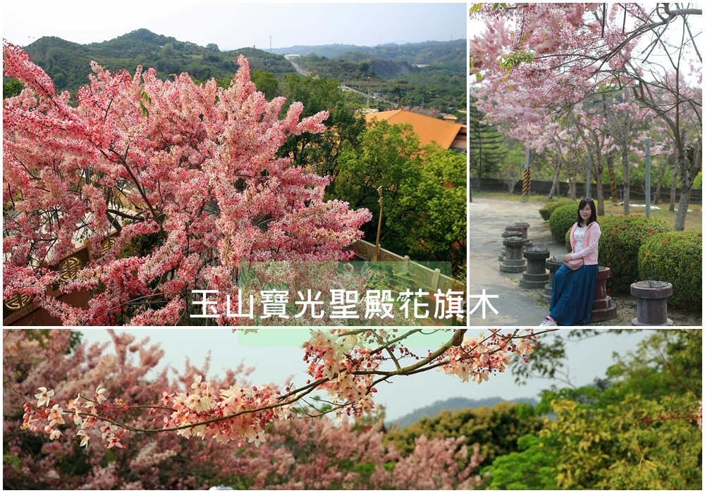 玉山寶光聖殿,花旗木,春季賞花,三陽開泰,景德公園,南橫公路,南化水庫,台南,南化區,車站