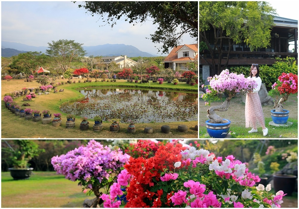 吳媽媽九重葛花園,北大武山,祕密花園,九重閣咖啡,愛心湖,日式屋,風獅爺,屏東,內埔鄉,九重葛,打卡,咖啡廳