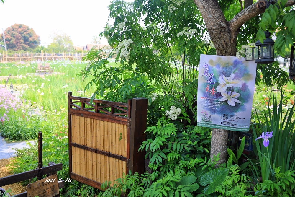 彰化田尾 旅人小屋舒宿鳶尾花田 萬株鳶尾十幾種花色輪流綻放 輕旅行