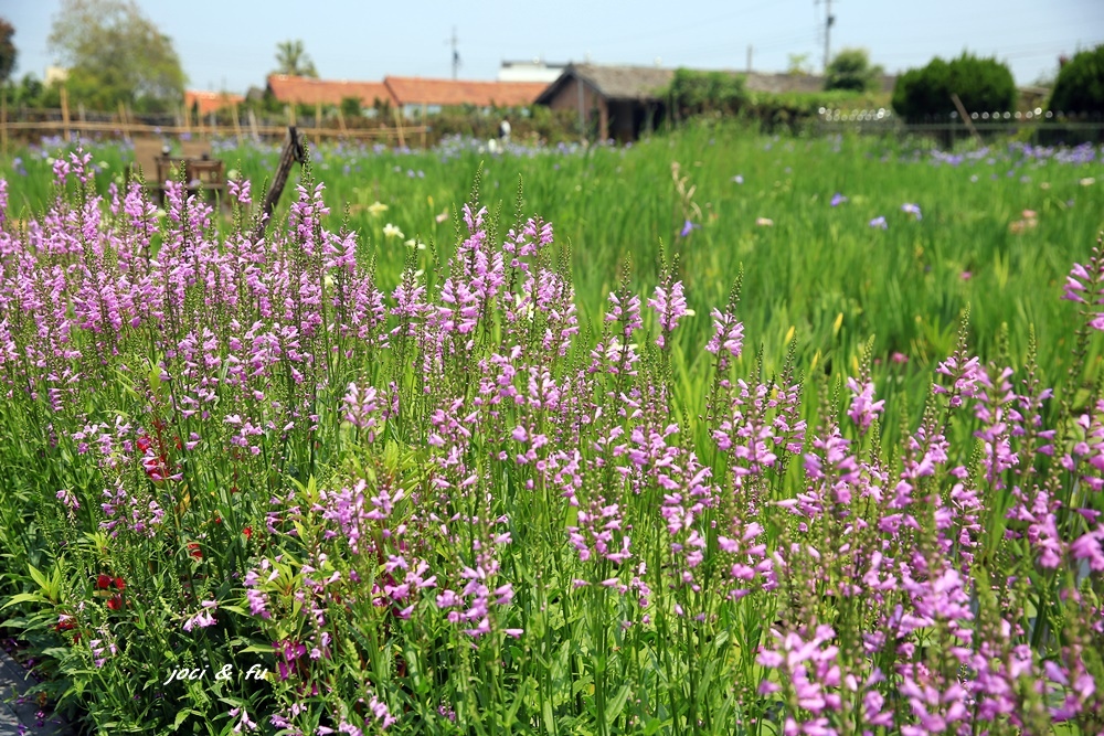 0C4A7730.JPG 0C4A7730.JPG