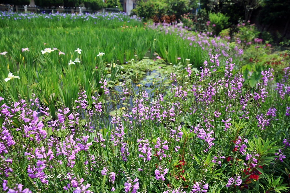 0C4A7731.JPG 0C4A7731.JPG