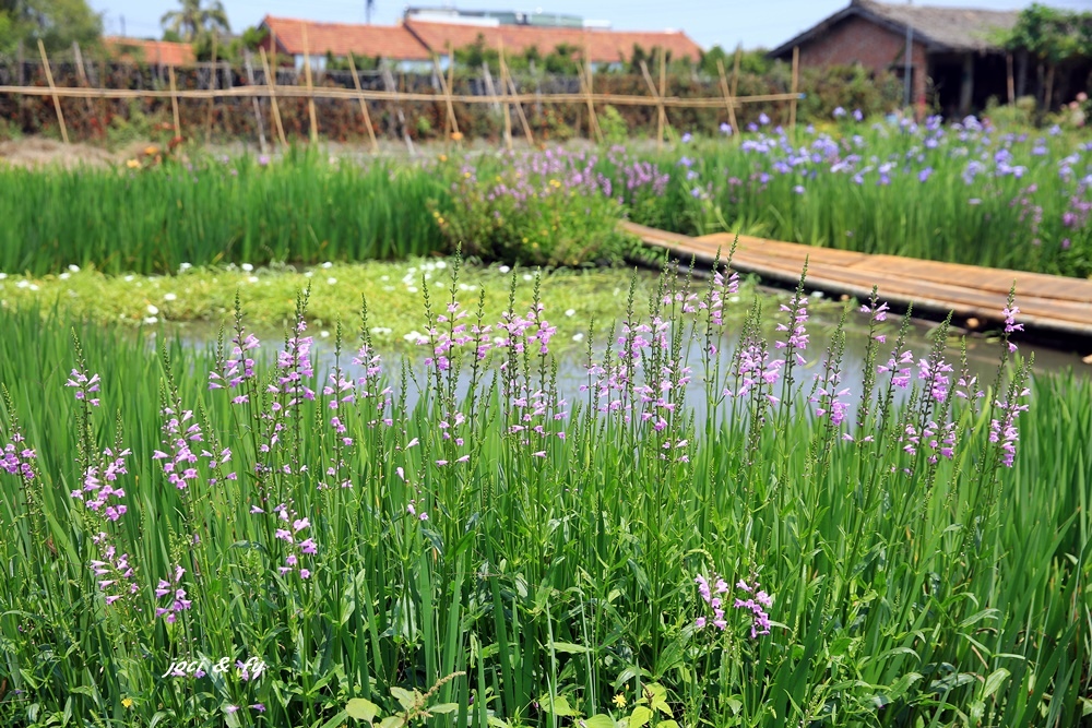 0C4A7736.JPG 0C4A7736.JPG