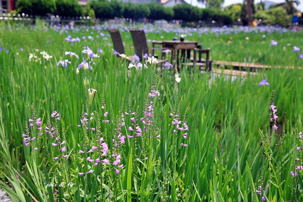 0C4A7737.JPG 0C4A7737.JPG