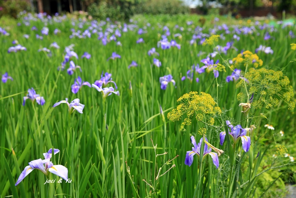 0C4A7738.JPG 0C4A7738.JPG