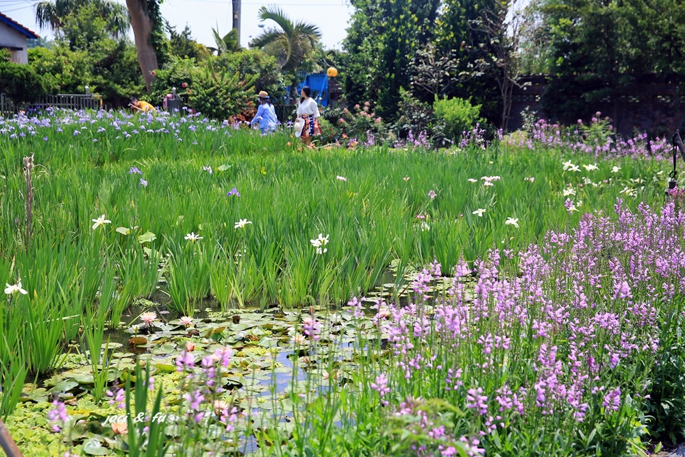 0C4A7733.JPG 0C4A7733.JPG