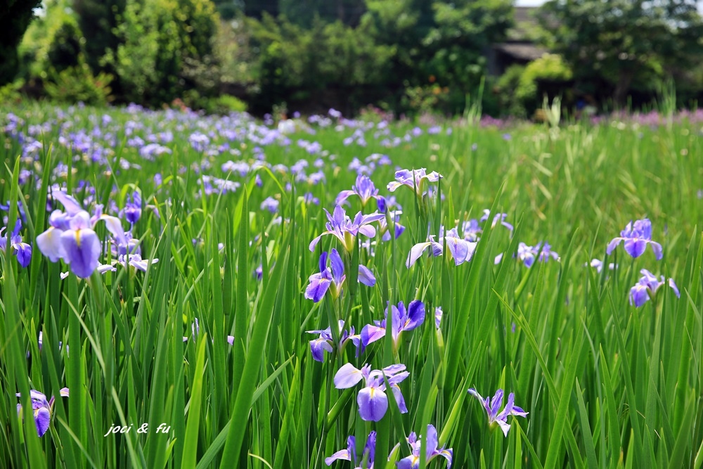 0C4A7741.JPG 0C4A7741.JPG