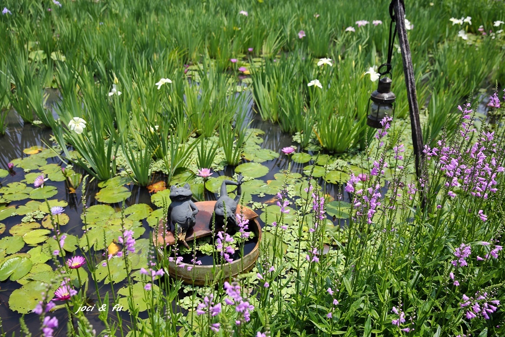 0C4A7758.JPG 0C4A7758.JPG