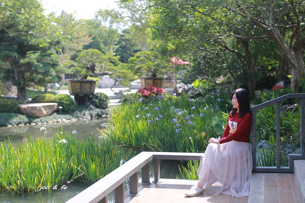 台灣銘園庭園美術館,日式園藝,兼六園,禪意庭園,紫薇,羅漢松,真柏,彰化,田尾,台版兼六園,秘境,迷你版日本兼六園,拍照,IG,打卡,鳶尾花,偽出國