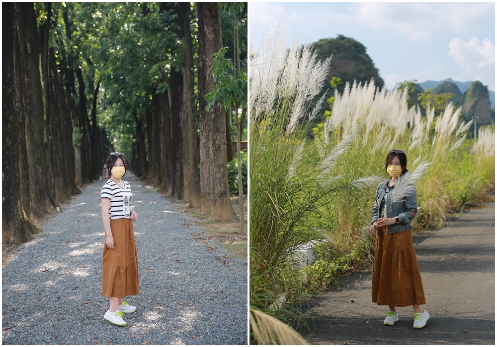 新威森林公園,桃花心木步道,十八羅漢山,荖濃溪,甜根子草,池田屋,柳蓮忘返咖啡屋,高雄,六龜區,十八羅漢