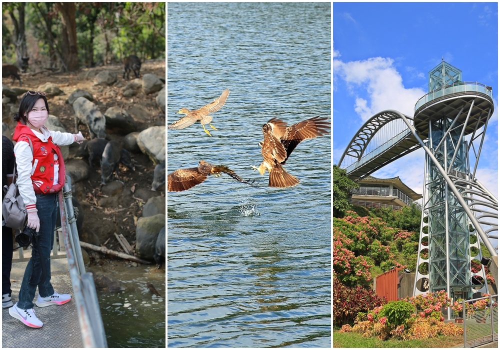 曾文水庫,山豬島,觀光遊艇,觀景樓,釣魚平台,老鷹獵食秀,飛鷹峽谷,嘉義,大埔,嘉義景點,大埔景點,曾文水庫觀景樓,曾文水庫釣魚平台,飛鷹峽