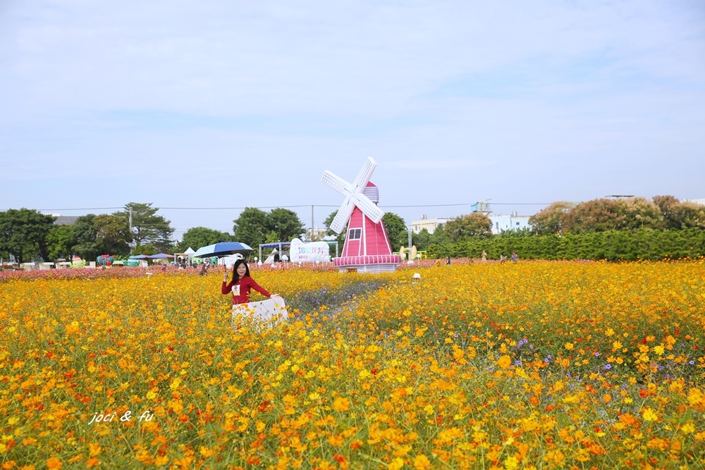 田尾花海嘉年華,秋收花宴,田尾公路花園,台灣大花園,幸福田尾站,紅色大風車,金黃波斯菊,彰化,田尾,彰化活動,田尾活動,秋收花