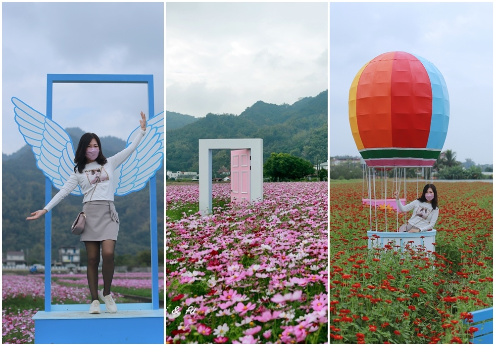 美濃花海,秋冬樂活嘉年華,花海彩繪大地,幸福熱氣球,荷蘭風車,波斯菊,美濃湖畔,高雄,美濃區