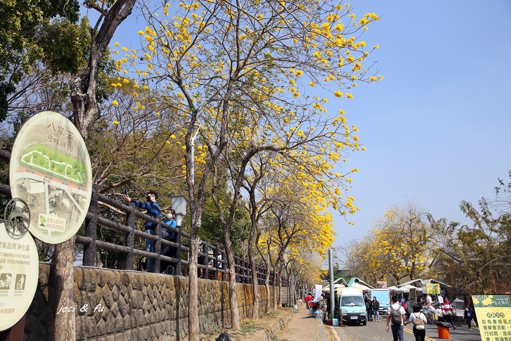 黃花風鈴木,八掌溪河畔綠園,仁義路,軍輝橋,鷺橋跨浪,春嬉風鈴音樂會,嘉義賞花,嘉義,嘉義景點,仁義路黃花風鈴木,八掌溪黃花風鈴木,八掌溪,軍輝