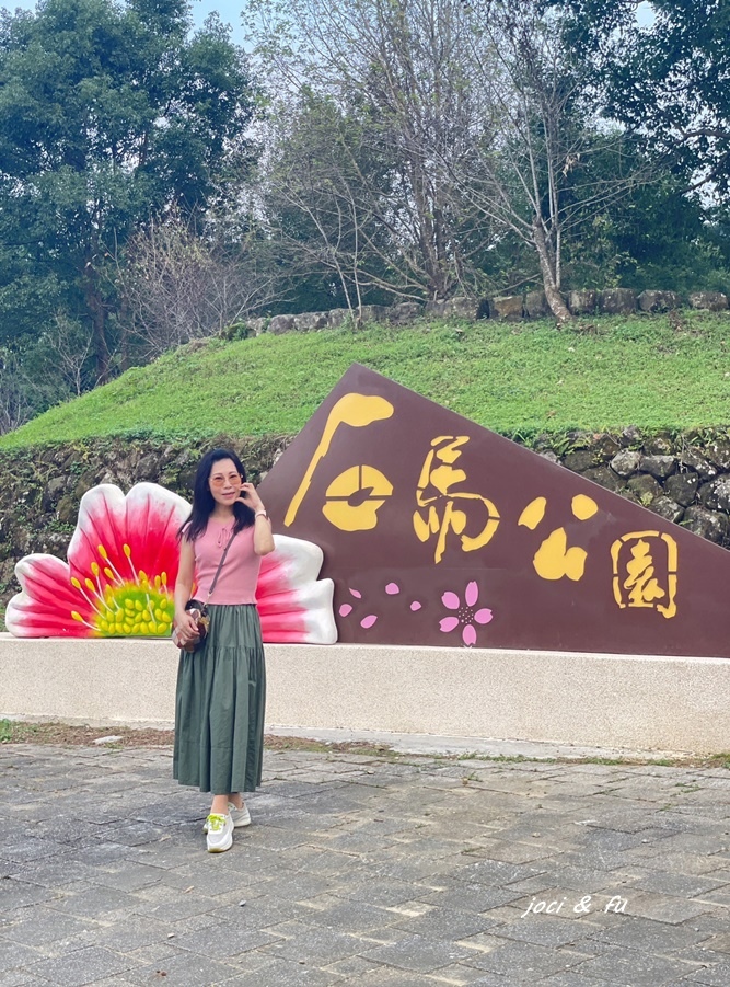 小半天石馬公園見櫻花，粉白花朵綻放枝頭，一年花開兩次的河津櫻