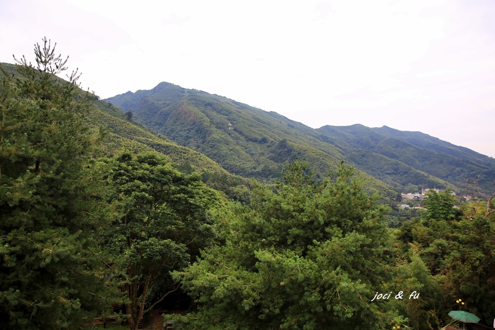 溪頭住宿 金台灣山莊 芬多精、茶香、鱒魚兩吃 / 穿和服漫步