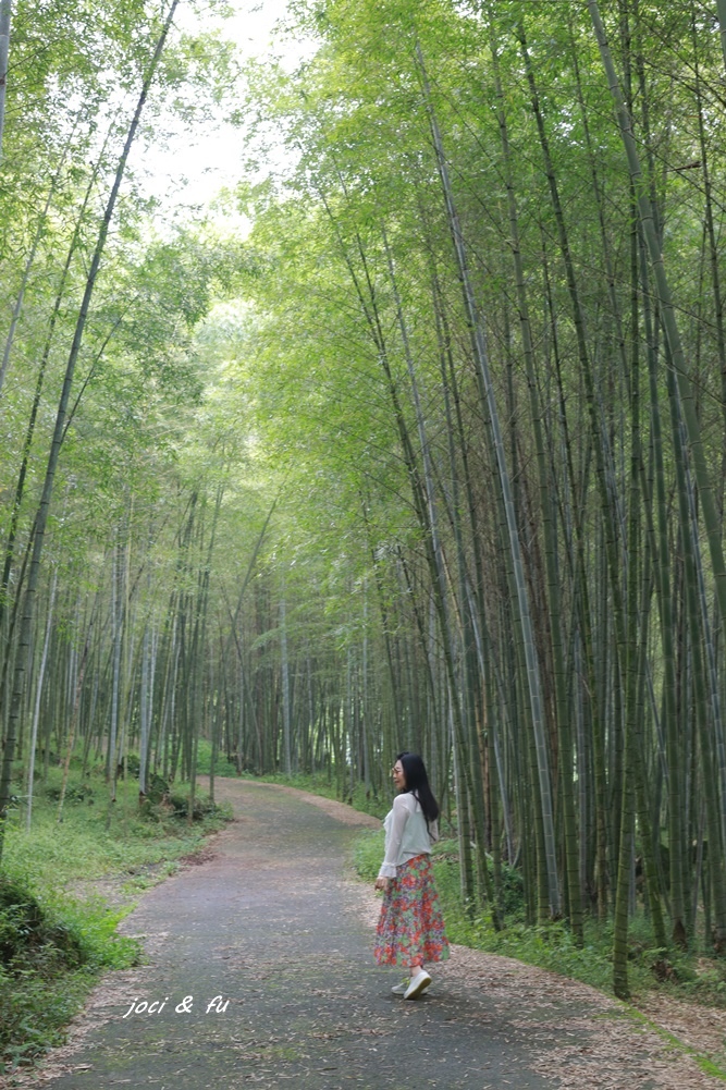 溪頭住宿 金台灣山莊 芬多精、茶香、鱒魚兩吃 / 穿和服漫步