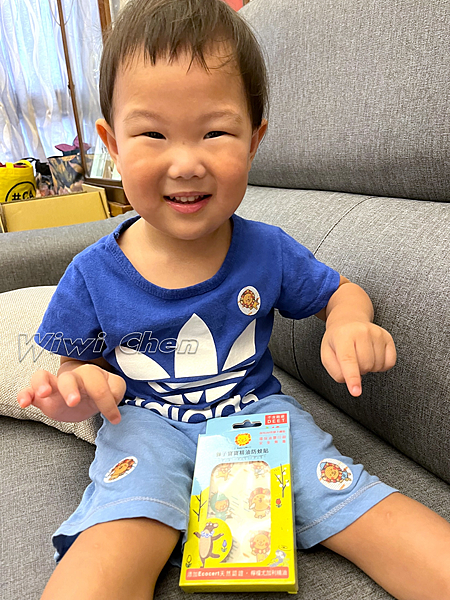 投影片12 投影片12