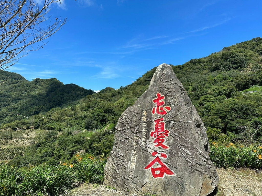 《台東住宿》環山雅築｜太麻里金針山賞花之旅｜台東小旅行